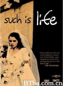 恨他入骨/Such is Life 恨他入骨/Such is Life-720p|1080p高清bt种子下载