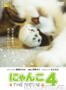 猫咪物语4-720p|1080p高清bt种子下载