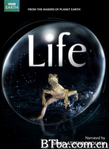 生命/BBC：生命/生命脉动-720p|1080p高清bt种子下载