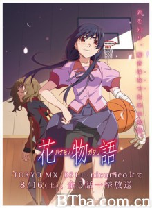 花物语/ハナモノガタリ/Hanamonogatari-720p|1080p高清bt种子下载