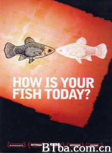 今天的鱼怎么样?/How Is Your Fish Today? 今天的鱼怎么样?/How Is Your Fish Today?-720p|1080p高清bt种子下载