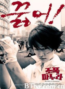 我的老婆是大佬/我老婆是老大/我的黑道老婆-720p|1080p高清bt种子下载