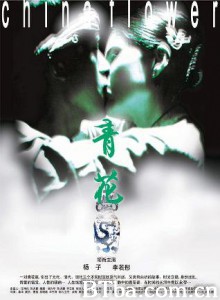 青花/China Flower-720p|1080p高清bt种子下载