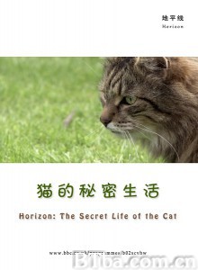 猫的秘密生活/喵星人日记/猫的秘密-720p|1080p高清bt种子下载
