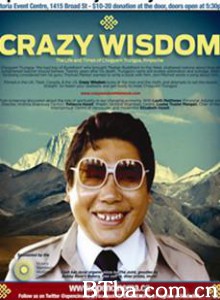 疯智-720p|1080p高清bt种子下载