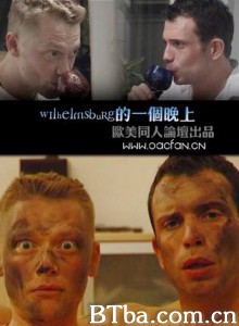 Wilhelmsburg的一个晚上-720p|1080p高清bt种子下载