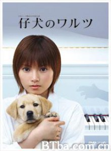 小狗华尔兹/小狗华尔滋-720p|1080p高清bt种子下载