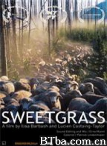 香草/香根草/青青綠草(台)-720p|1080p高清bt种子下载