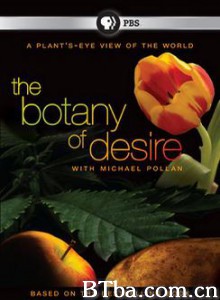 植物的欲望-720p|1080p高清bt种子下载