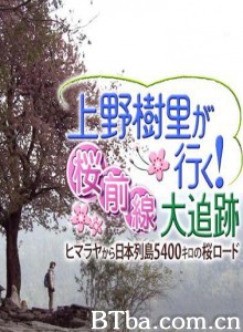上野树里之行！樱花前线大追迹～从喜马拉雅到日本列岛5400公里的樱之路~/上野树里樱花行/Ueno Juri Ga Iku Sakura Zensen Dai Tuiseki-720p|1080p高清bt种子下载