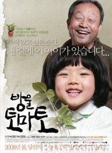 樱桃小番茄/铃铛西红柿/袖珍小番茄-720p|1080p高清bt种子下载