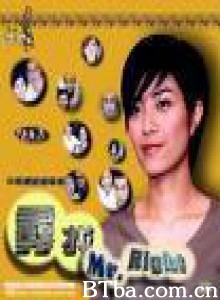 寻找mr.right-720p|1080p高清bt种子下载