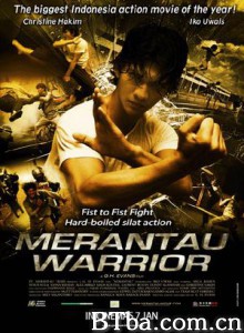 精武战士/街头拳霸(港)/漫步者-720p|1080p高清bt种子下载