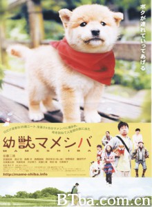 豆柴小犬/寻母三千里 豆柴小犬/寻母三千里-720p|1080p高清bt种子下载