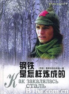钢铁是怎样炼成的/How the Steel Was Tempered/Как закалялась сталь 钢铁是怎样炼成的/How the Steel Was Tempered/Как закалялась сталь-720p|1080p高清bt种子下载