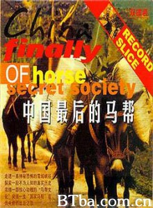 最后的马帮-720p|1080p高清bt种子下载