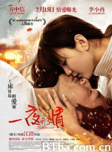一夜未了情/爱·不爱/To Love or Not-720p|1080p高清bt种子下载