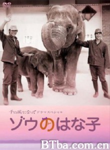 大象花子-720p|1080p高清bt种子下载