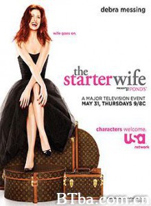 头号前妻/The Starter Wife-720p|1080p高清bt种子下载