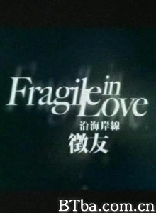 沿海岸线征友/fragile in love-720p|1080p高清bt种子下载