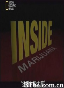 透视内幕：大麻/国家地理 透视内幕：大麻-720p|1080p高清bt种子下载