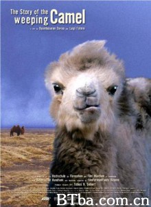 哭泣的骆驼/The Story of the Weeping Camel 哭泣的骆驼/The Story of the Weeping Camel-720p|1080p高清bt种子下载