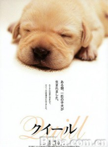 导盲犬小Q/再见了！可鲁/Quill-720p|1080p高清bt种子下载