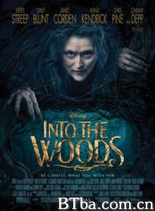 魔法黑森林/拜访森林/走进森林/Into the Woods 魔法黑森林/拜访森林/走进森林/Into the Woods-720p|1080p高清bt种子下载