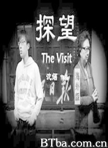 探望-720p|1080p高清bt种子下载