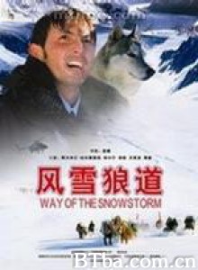 风雪狼道/Way Of The Snowstorm-720p|1080p高清bt种子下载