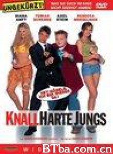 我的宝贝会说话2/Knallharte Jungs-720p|1080p高清bt种子下载