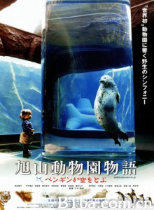 旭山动物园物语：空中飞翔的企鹅/旭山动物园物语-720p|1080p高清bt种子下载