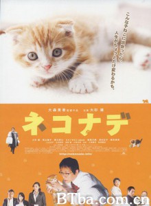 小猫奇缘/心动奇迹:咪咪知音/心动奇迹2 小猫奇缘/心动奇迹:咪咪知音/心动奇迹2-720p|1080p高清bt种子下载