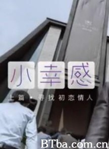 小幸感/小幸感(上)：寻找初恋情人/小幸感(下)：婚前33天-720p|1080p高清bt种子下载
