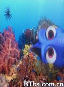 探索珊瑚礁/探索礁石/和Jean-Michel Cousteau一起探索礁石-720p|1080p高清bt种子下载