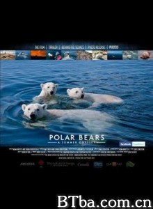 北极熊：一个夏天的奥德赛/北极熊：夏季远行/Eisbären 3D-720p|1080p高清bt种子下载