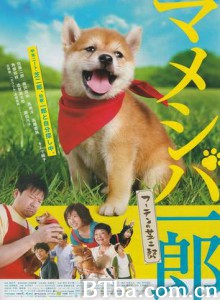 映画マメシバ一郎フーテンの芝二郎-720p|1080p高清bt种子下载