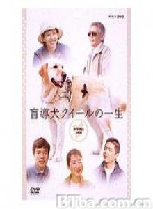 导盲犬小Q之一生 导盲犬小Q之一生-720p|1080p高清bt种子下载