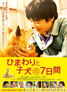向日葵与幼犬的7天/第七日的奇迹(台)/向日葵与狗孩子的7天-720p|1080p高清bt种子下载