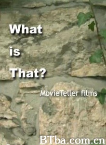 那是什么？/What Is That?-720p|1080p高清bt种子下载