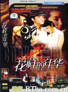 花样的年华 花样的年华-720p|1080p高清bt种子下载