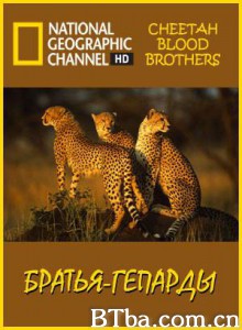 猎豹三兄弟/猎豹生死兄弟-720p|1080p高清bt种子下载