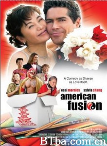 融入美利坚/美国融合-720p|1080p高清bt种子下载