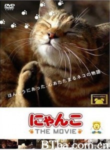猫咪物语-720p|1080p高清bt种子下载