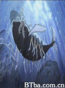 校长与鲸/Man and Whale-720p|1080p高清bt种子下载