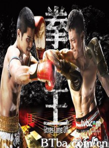 拳王-720p|1080p高清bt种子下载