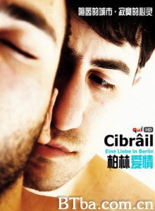 柏林爱情/Cibrail A Love In Berlin/The Visitor-720p|1080p高清bt种子下载