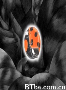 瓢虫哀歌/Ladybug Requiem 瓢虫哀歌/Ladybug Requiem-720p|1080p高清bt种子下载