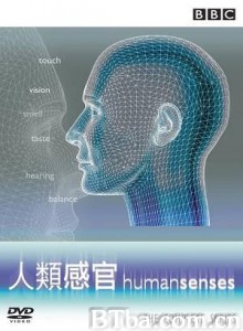 人类感官-720p|1080p高清bt种子下载