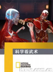 科學看武術-720p|1080p高清bt种子下载